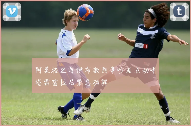 阿莱格里与伊布激烈争吵差点动手塔雷富拉尼紧急劝解